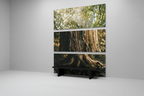The Ancestral Timber