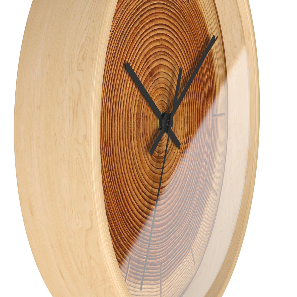 Tree Ring Gallery Image