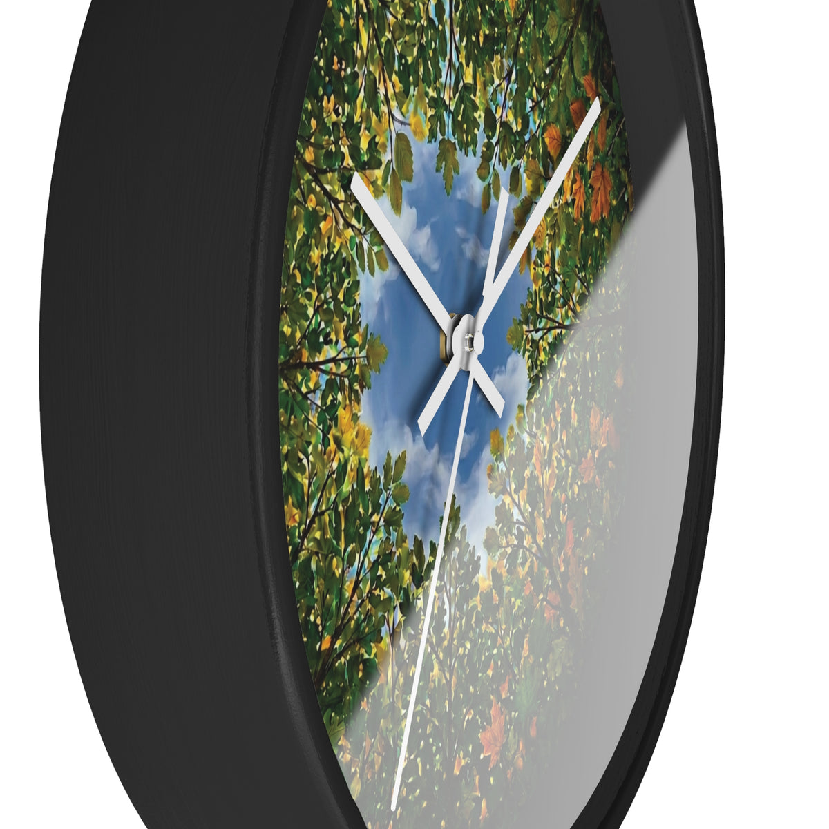Forest Canopy Gallery Image