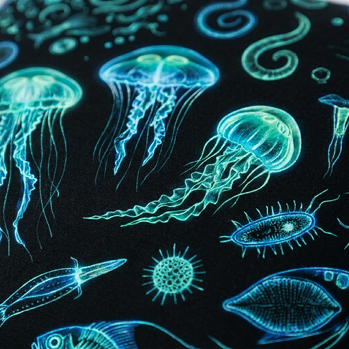 The Biolume key benefits