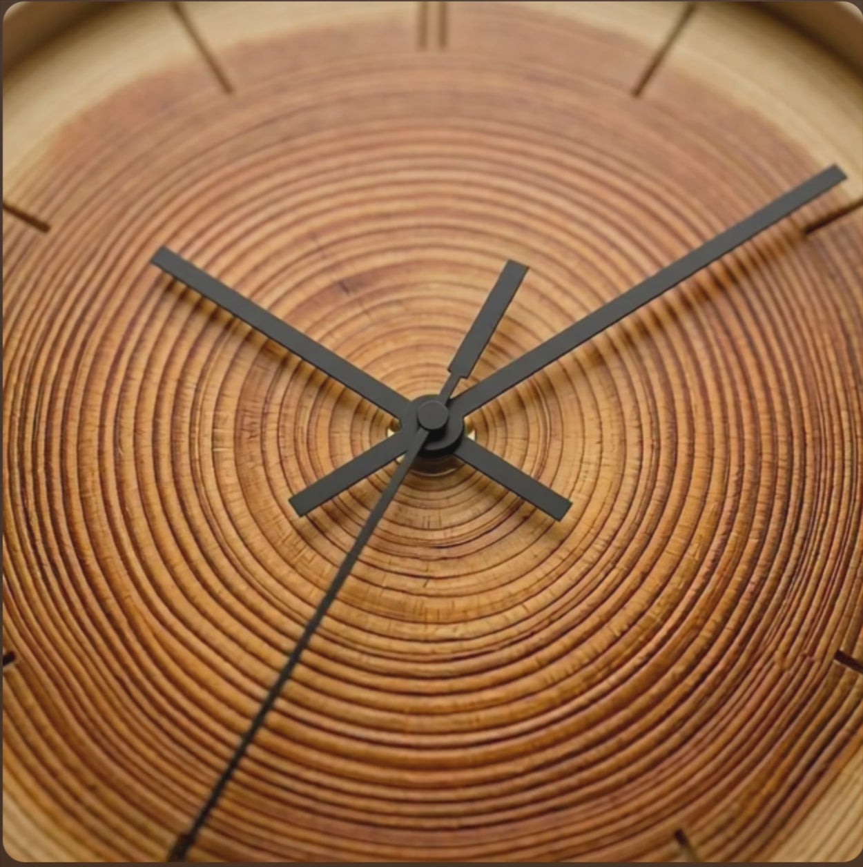Tree Ring